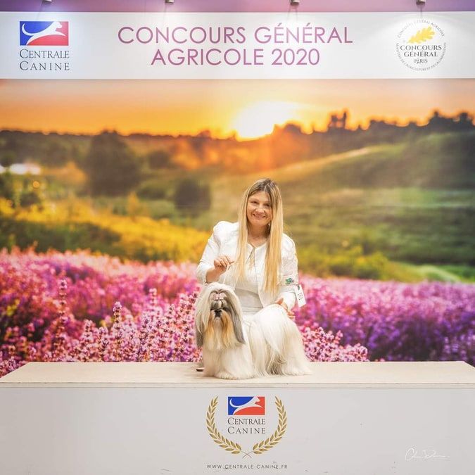 Taihe Dian - Photo officielle du Salon de l'agriculture 2020