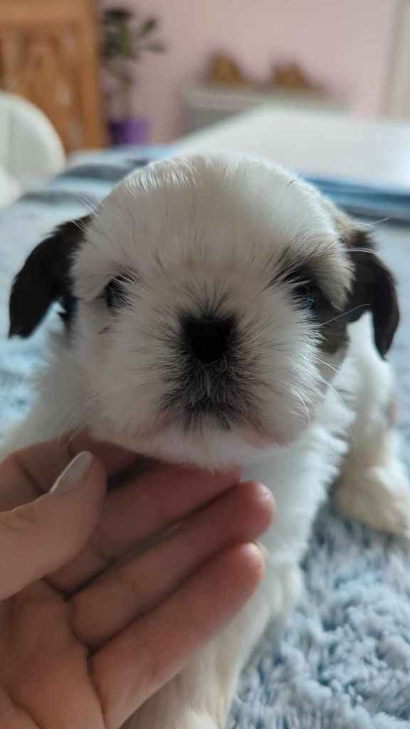 Taihe Dian - Mon petit dernier !