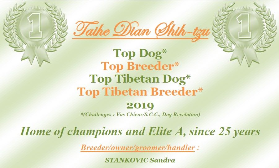 Taihe Dian - Challenge 2019